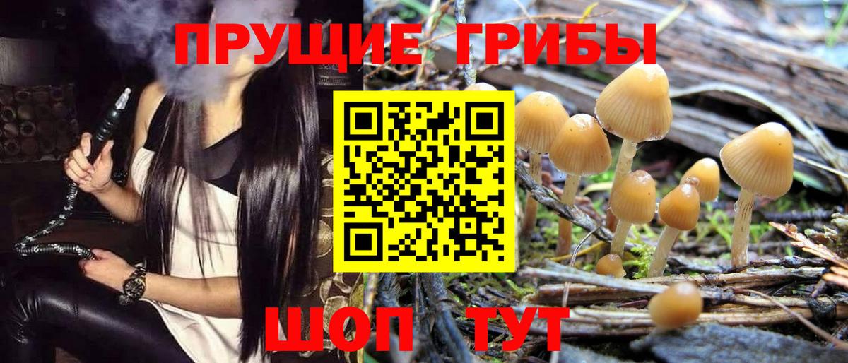 Псилоцибиновые грибы MAGIC MUSHROOMS Алексин
