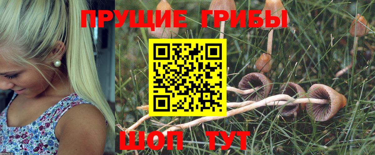 Алексин  Псилоцибиновые грибы ЛСД  Вход с VPN 